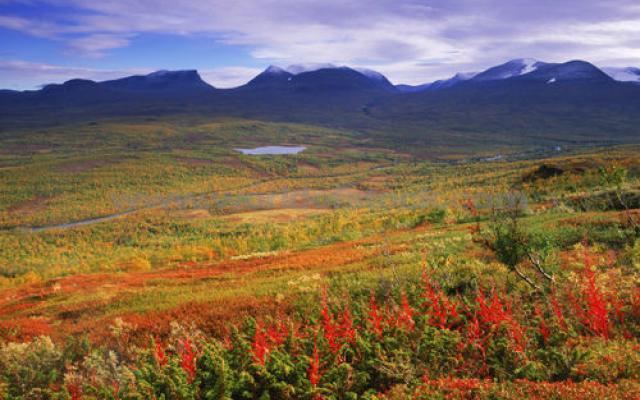 Abisko National Park-Deserving destination to be admired Trip Packages