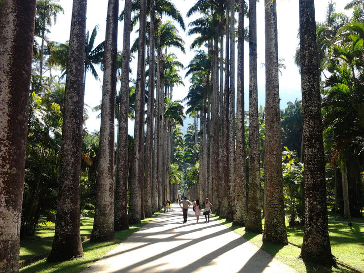 Jardim Botanico Trip Packages