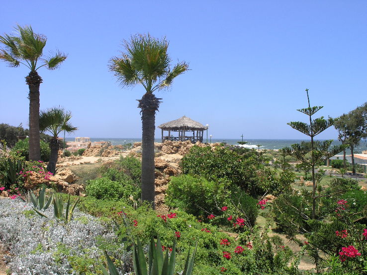 Montazah Gardens Trip Packages