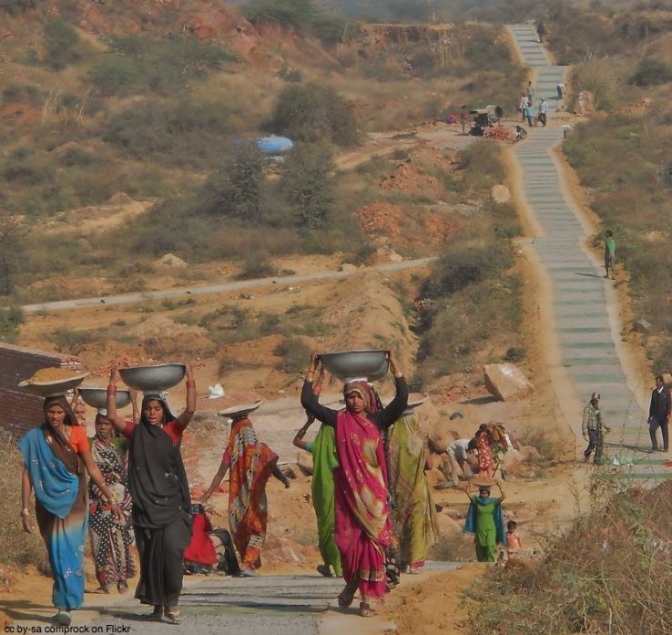 The Aravali Biodiversity Park Trip Packages