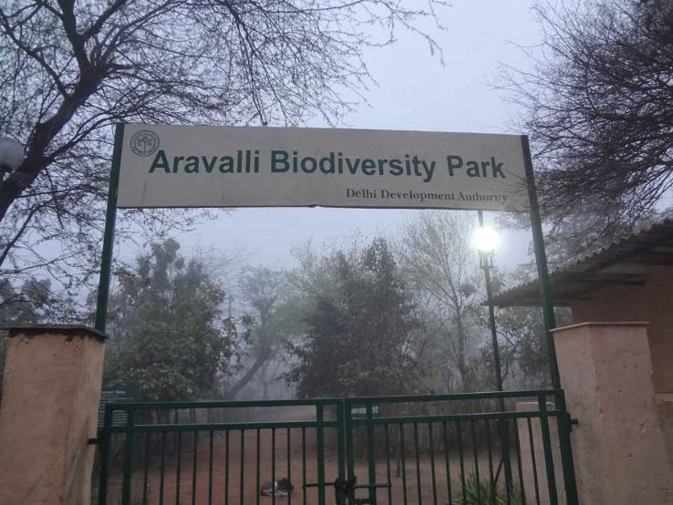 Aravalli Biodiversity Park Trip Packages