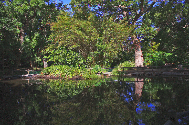 Arderne Gardens Trip Packages