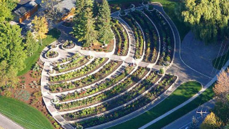 Dahlia Hill Trip Packages