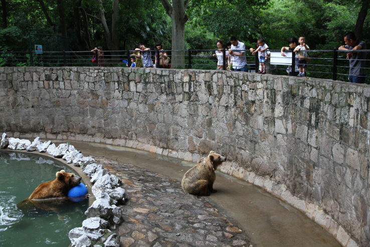 Shanghai Zoo  Trip Packages