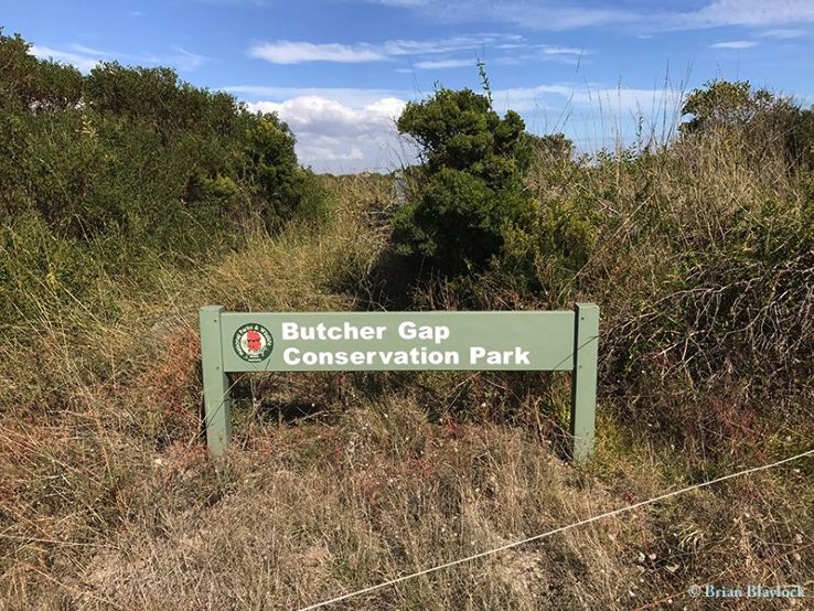 Butcher Gap Conservation Park Trip Packages