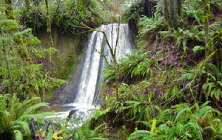 Cold Creek Natural Area   Trip Packages