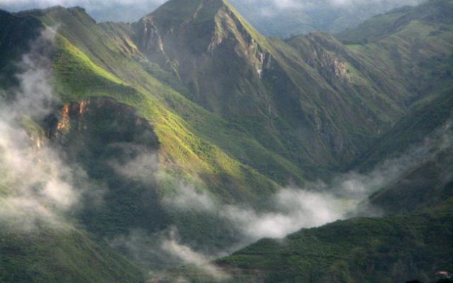 Go Wild In The Amazonian Range Trip Packages