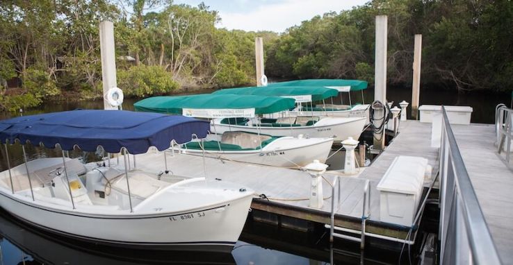 Conservancy of Southwest Florida Trip Packages