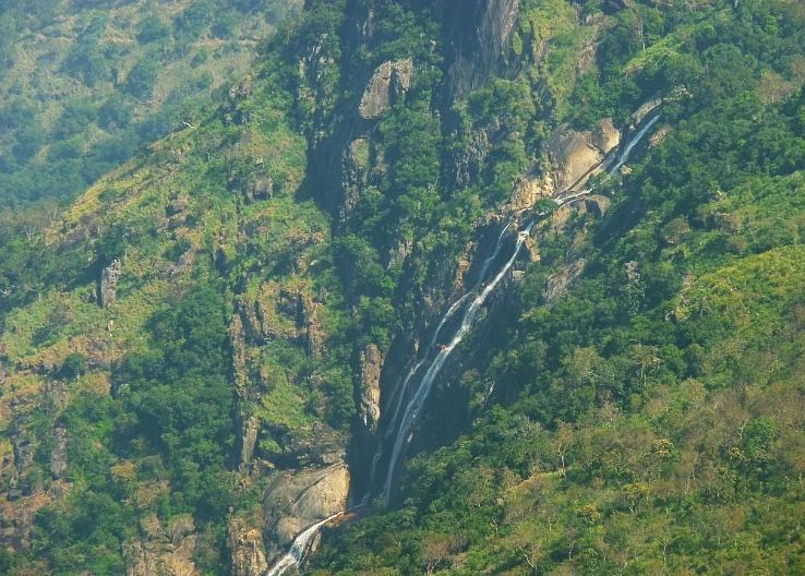 6 Days Coonoor Nature Trip Package