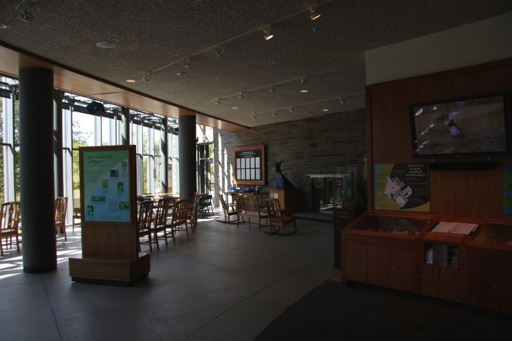 Cornell Lab of Ornithology Trip Packages