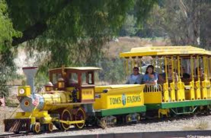 Enjoy a day at Tom s Farms Trip Packages