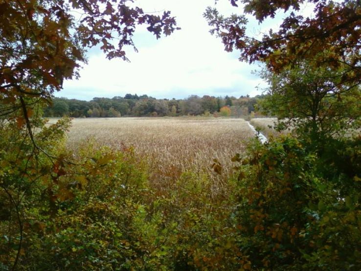 Cutler Park Reservation 2023, 18 top things to do in newton