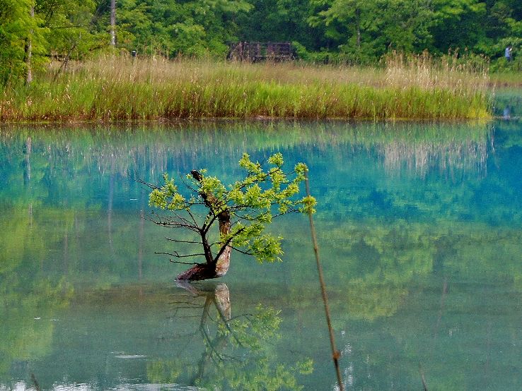 Goshiki-numa Trip Packages