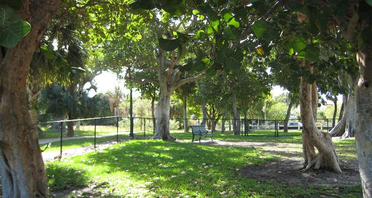 Osprey Trip Packages