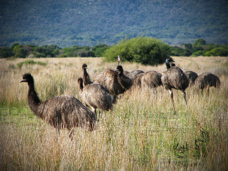 Wilsons Promontory National Park Trip Packages