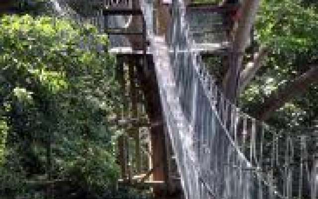 FRIM Canopy Walkway Trip Packages