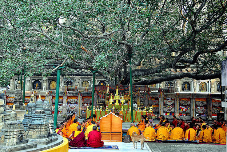 Bodhgaya Trip Packages