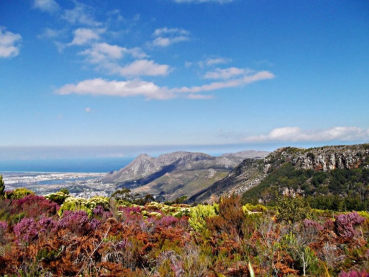 Silvermine Nature Reserve Trip Packages