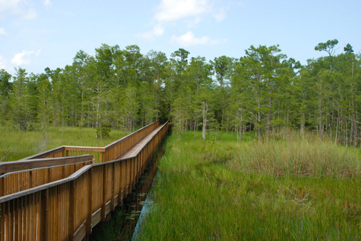 Grassy Waters Nature Preserve Trip Packages