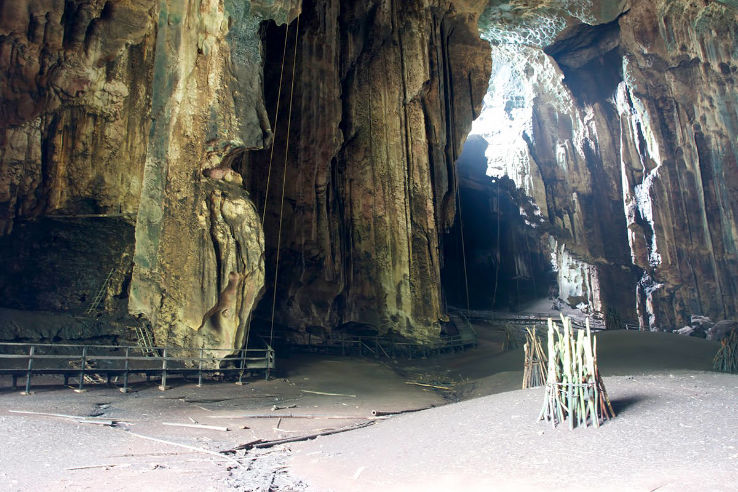 Gua Gomantong Trip Packages