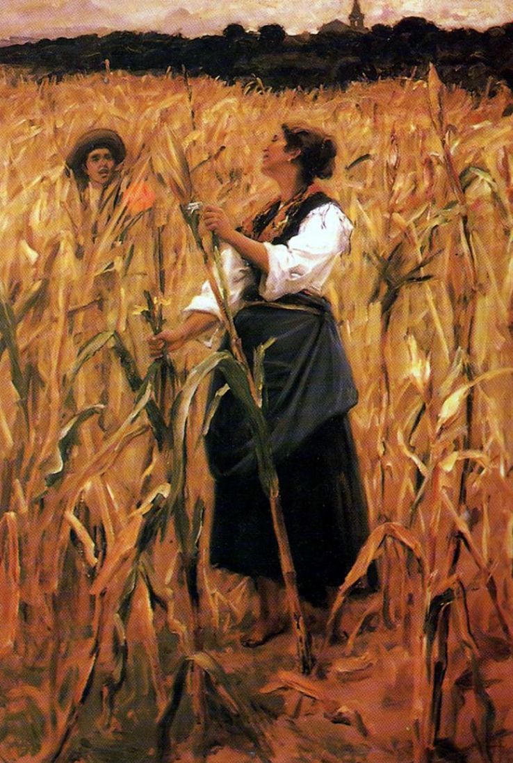 Carlos Costa Pinto Museum  Trip Packages