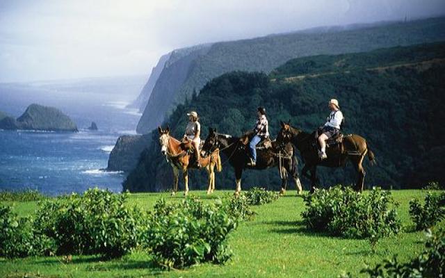 Cover Luxembourg On Horse Trip Packages