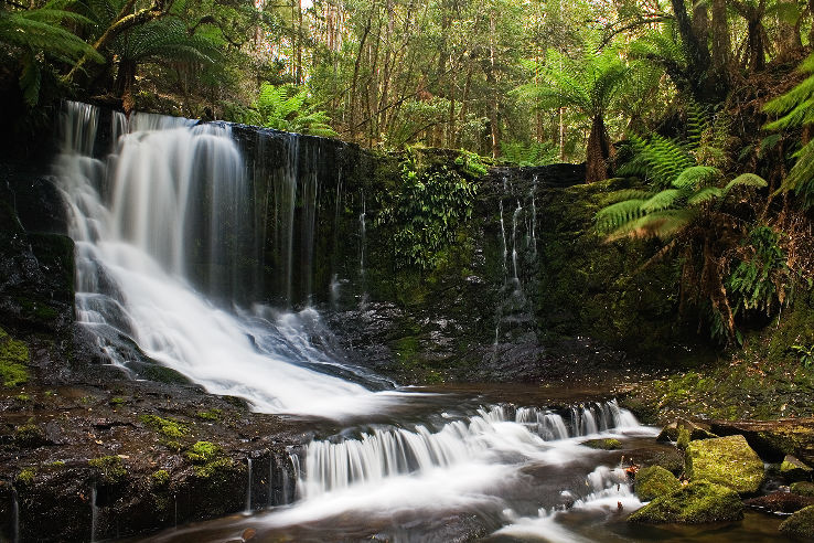Mount Field National Park Trip Packages