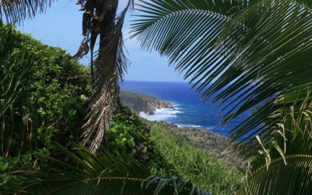 Forests tour in Niue Trip Packages