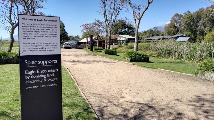 Eagle Encounters Trip Packages