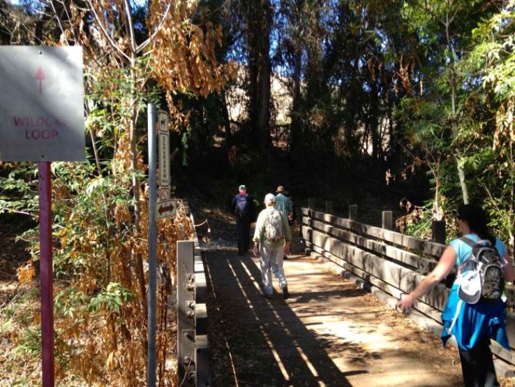 Fullerton Trip Packages