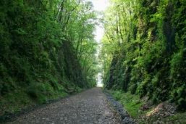 Allatoona Pass Battlefield Trip Packages