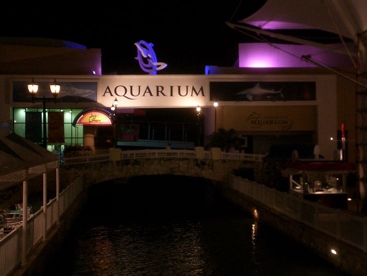 Interactive Aquarium Trip Packages