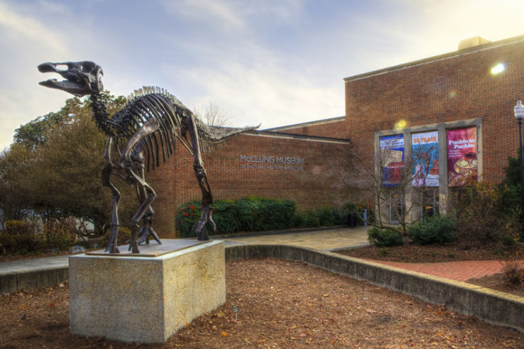 Frank H. McClung Museum Trip Packages