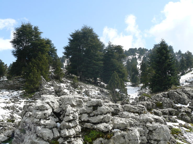 Wulong Karst Gelogical Park  Trip Packages