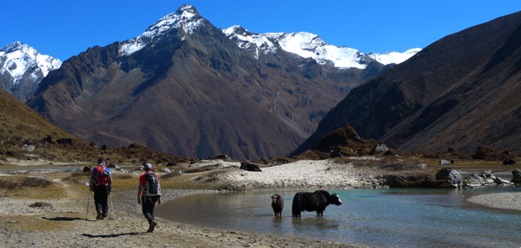 Laya Trekking  Trip Packages