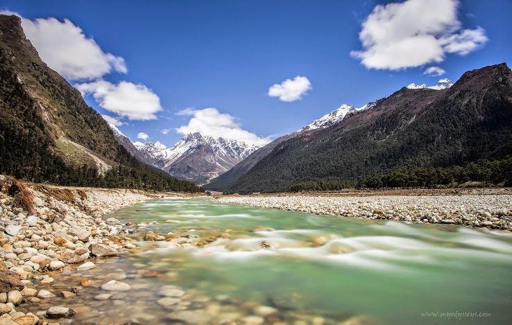 Yumthang River Trip Packages