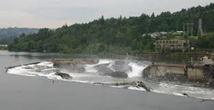 Willamette Falls Trip Packages