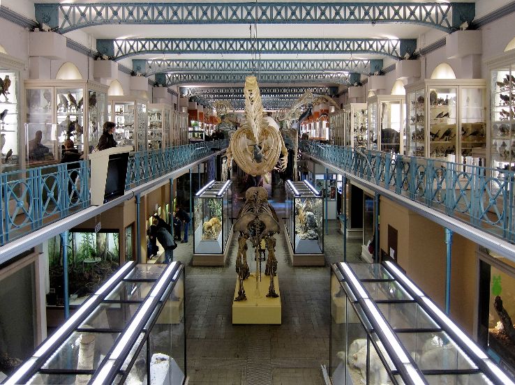 Museum of Natural History of Lille Trip Packages