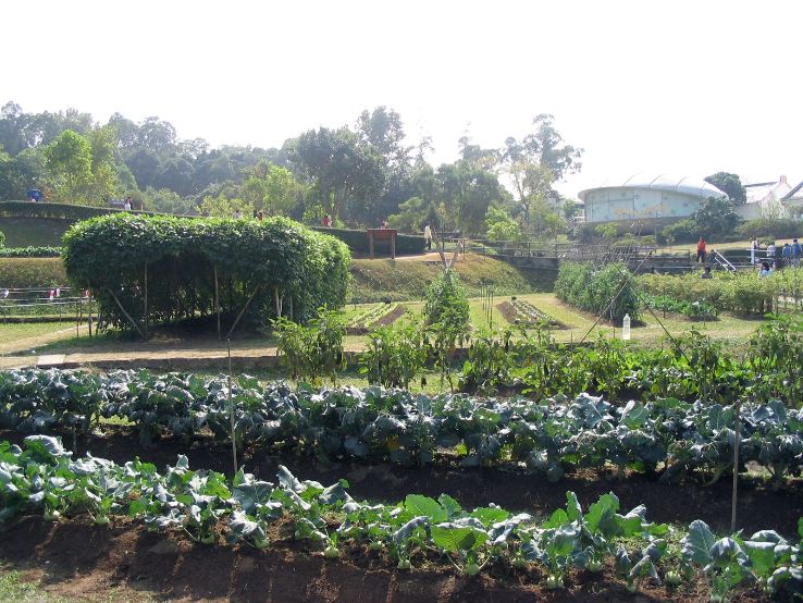 Lions Nature Education Centre Trip Packages