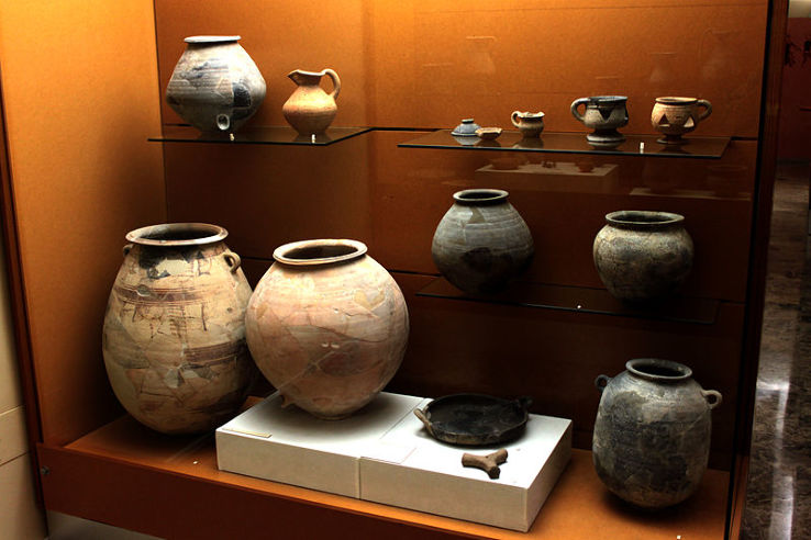 Prehistory Museum of Valencia Trip Packages