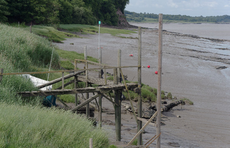 Lydney Harbour Trip Packages