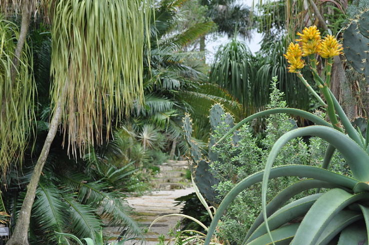  Mounts Botanical Garden Trip Packages