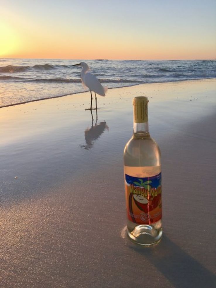 Panama City Beach Winery Trip Packages