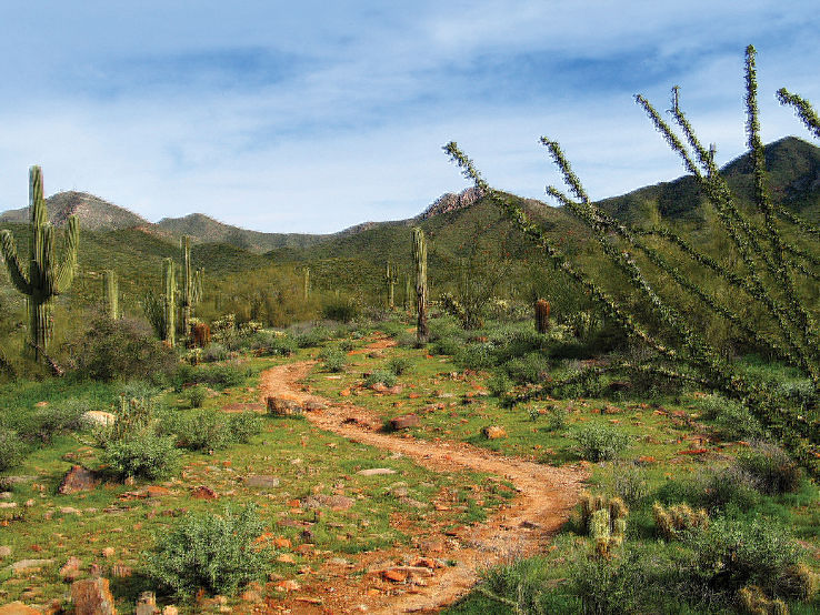 McDowell Sonoran Preserve Trip Packages