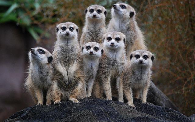 Kinshasa Trip Packages