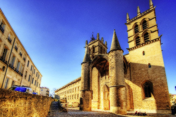 Montpellier Cathedral Trip Packages