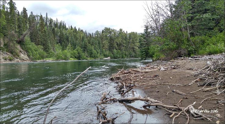 Fishing in Morice river Trip Packages