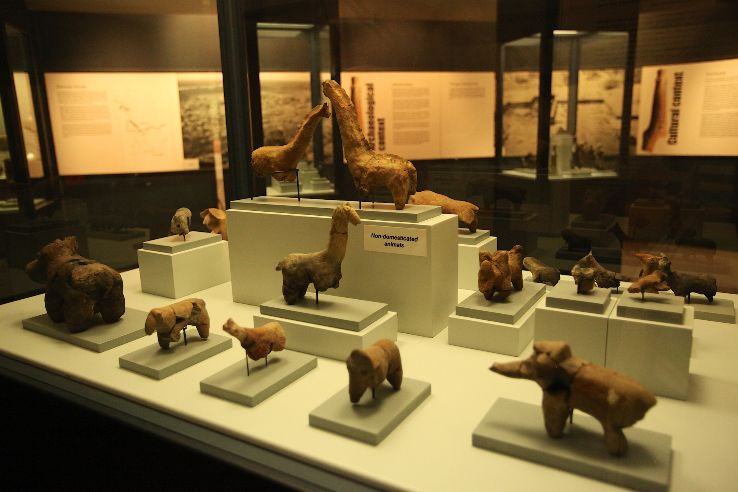 Ditsong Museums of South Africa Trip Packages