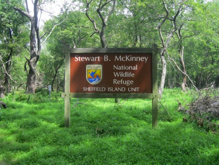 Stewart B. McKinney National Wildlife Refuge Trip Packages