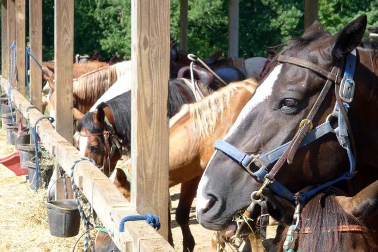 Santa Stables Trip Packages